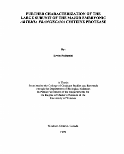 further characterization of the large subunit of the major embryonic