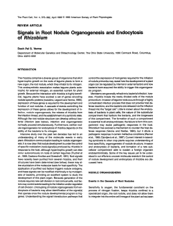 Signals in Root Nodule Organogenesis and Endocytosis