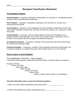 Biological Classification Worksheet Five