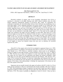 sugarcane yield and root morphology due to water