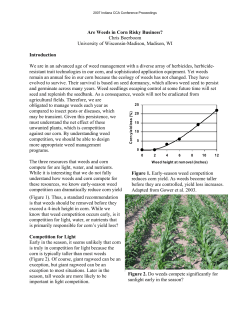Figure 2. Do weeds compete significantly for sunlight early in the