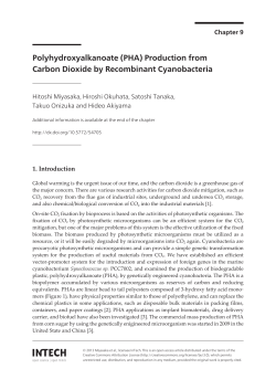 (PHA) Production from Carbon Dioxide by