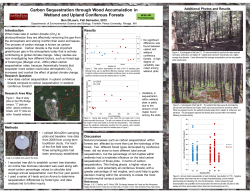Carbon Sequestration - EcologyAndEvolution.Org