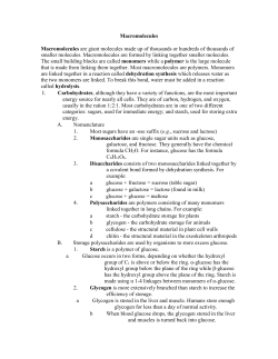 Macromolecules notes