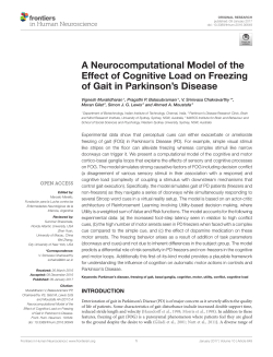 A Neurocomputational Model of the Effect of Cognitive
