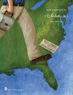 Solution - AnnualReports.com