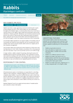 Rabbits - Waikato Regional Council