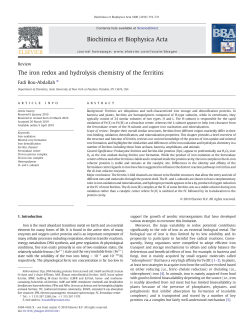 The iron redox and hydrolysis chemistry of the ferritins