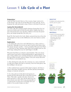 Life Cycle of a Plant