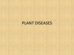 plant diseases - Catawba County Schools