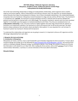 BIO 7505, Biology: A Molecular Approach, Laboratory Mosquitoes