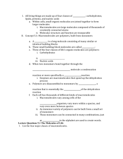 Ch 5 Notes Skeleton - Dublin City Schools