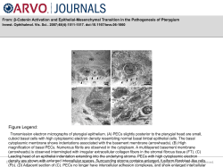 Slide 1 - ARVO Journals