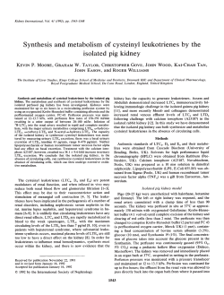 Synthesis and metabolism of cysteinyl leukotrienes by the isolated