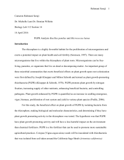 PGPR Analysis Bacillus pumilus and Micrococcus