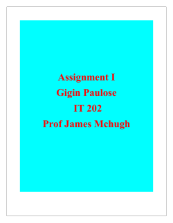 Assignment I