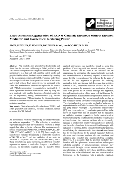 Electrochemical Regeneration of FAD by Catalytic Electrode Without