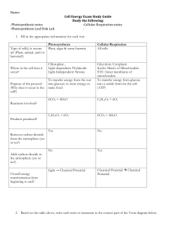 Name: Cell Energy Exam Study Guide Study the following