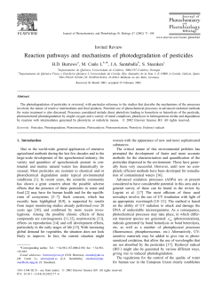 R eaction pathways and mechanisms of