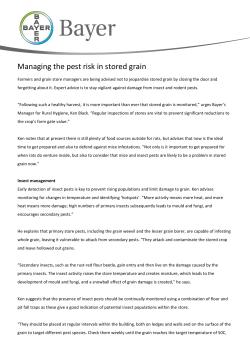 Managing the pest risk in stored grain