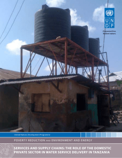 the role of the domestic private sector in water service delivery in