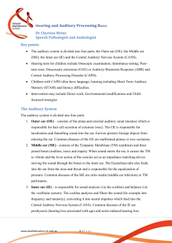 Auditory Processing Basics by Dr Chyrisse Heine