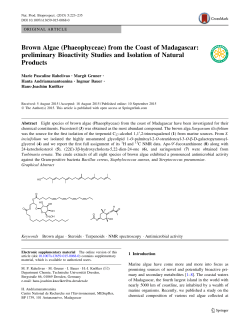Brown Algae (Phaeophyceae) from the Coast of Madagascar