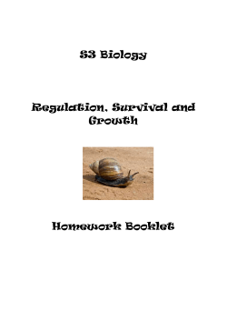 Growth patterns in plants and animals