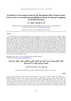 the therapeutic effect of fig tree latex