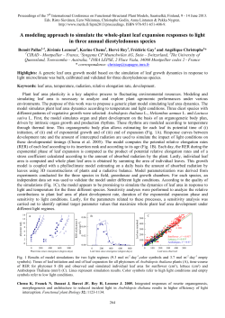 A modeling approach to simulate the whole-plant leaf