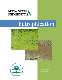 Eutrophication