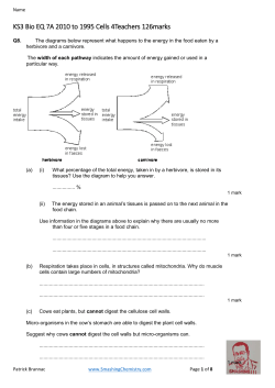 KS3 Bio EQ 7A 2010 to 1995 Cells 4Teachers 126marks