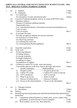 kirinyaga central sub-county effective forty joint