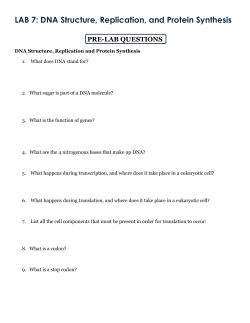 Lab 7. DNA Structure, Replication and Protein