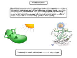 Light Energy + Carbon Dioxide + Water &ndash;&ndash;&ndash;&ndash;&ndash;&ndash;&ndash;&ndash;> Food + Oxygen