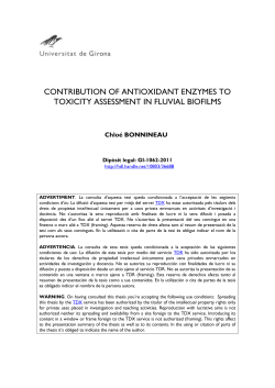 Contribution of antioxidant enzymes to toxicity