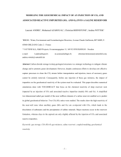 paper instructions - Hal-BRGM