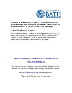 Langevin Equations for Landmark Image Registration with Uncertainty