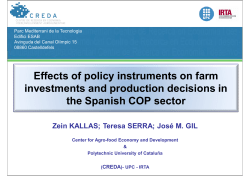 Effects of policy instruments on farm investments and production