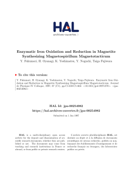 Enzymatic Iron Oxidation and Reduction in Magnetite