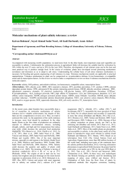 Review Article Molecular mechanisms of plant salinity tolerance: a