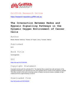 The Interaction Between Redox and Hypoxic Signalling Pathways in