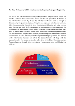 J&oacute;zsef Mandl - Andr&aacute;s Szarka