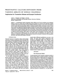 PRESYNAPTIC CALCIUM DIFFUSION FROM