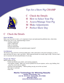 Tips for a Show Pig CHAMP C Check the