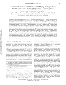 Coordinated Production and Utilization of FADH2 by NAD(P)HFlavin