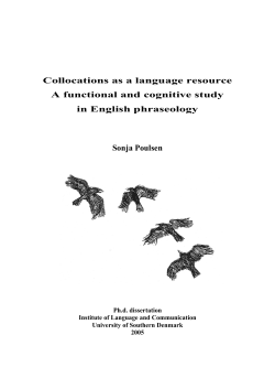 Collocations as a language resource A functional and cognitive