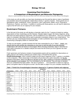 Biology 164 Lab Examining Plant Evolution: A Comparison of