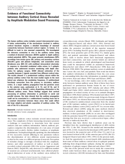 Evidence of Functional Connectivity between