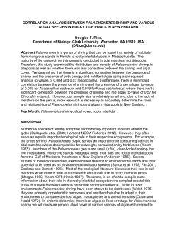 CORRELATION ANALYSIS BETWEEN PALAEMONETES SHRIMP
